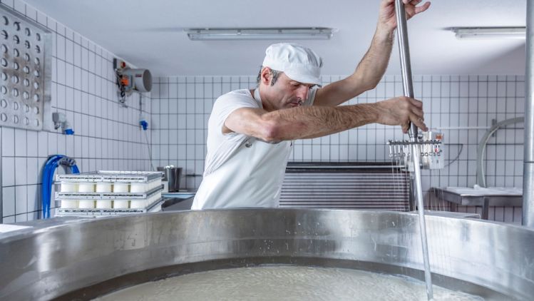 Käser mit der Harfe im Kessi.