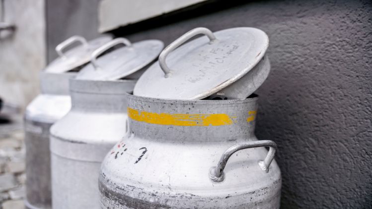 Die Milchkannen werden noch heute für den Transport der Milch von Bauernhöfen zu den Käsereien gebraucht. Auch vor der Käserei PurCrü stehen diese und bringen den Rohstoff für die tollen Käse. 